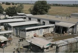 Canile di Imola