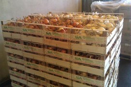 cassetta