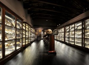 Museo San Domenico Imola