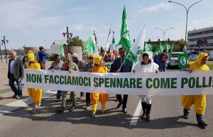 non come polli