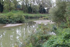 fiume-santerno-imola
