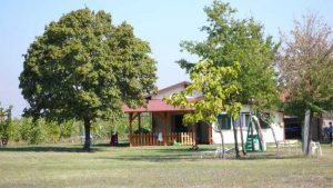 asilo-nido-i-cuccioli