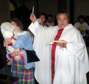 benedizione animali nella chiesa di Valverde a Imola