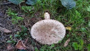 20161104_102354-800x450