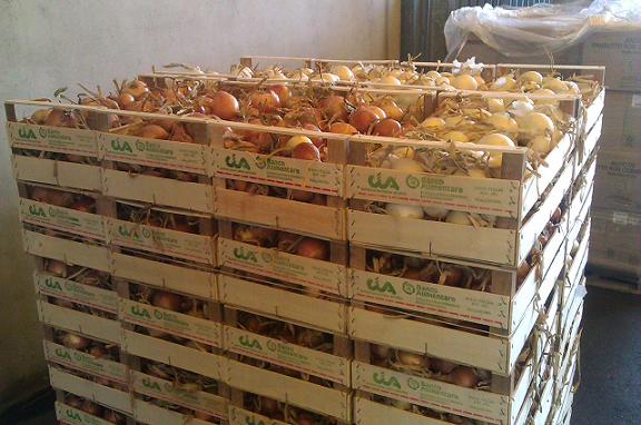 Prosegue la cooperazione tra la Cia di Imola e la Fondazione Banco Alimentare Emilia Romagna