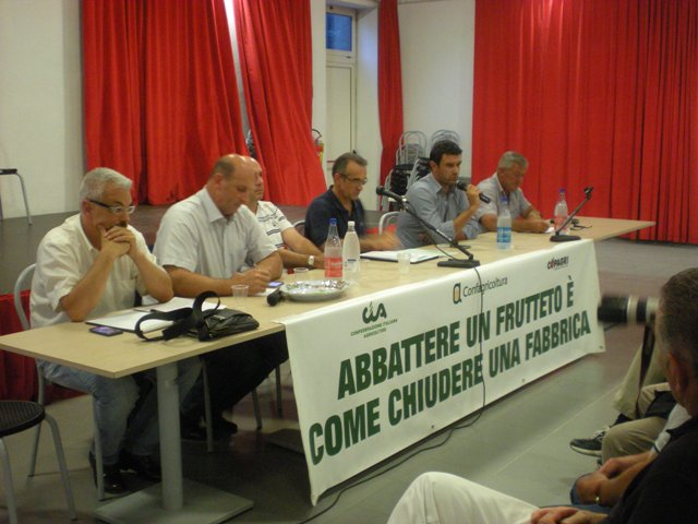 PESCHE NETTARINE, CROLLANO I PREZZI AL PRODUTTORE. AGRICOLTORI IN RIVOLTA