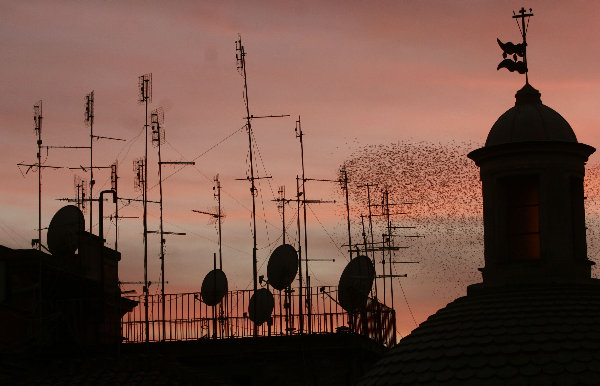 Antenne, informazione e partecipazione…