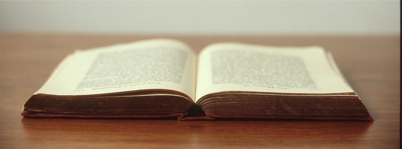 GRUPPO DI LETTURA: PIACE A TUTTI “A CIASCUNO IL SUO” DI SCIASCIA