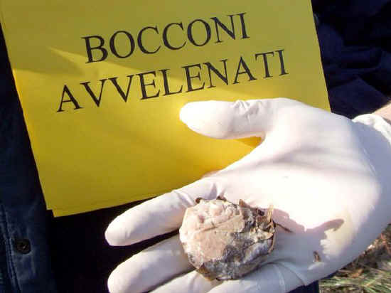 BOCCONI SOSPETTI NELL’AREA CANI DI VIA MOLINO VECCHIO