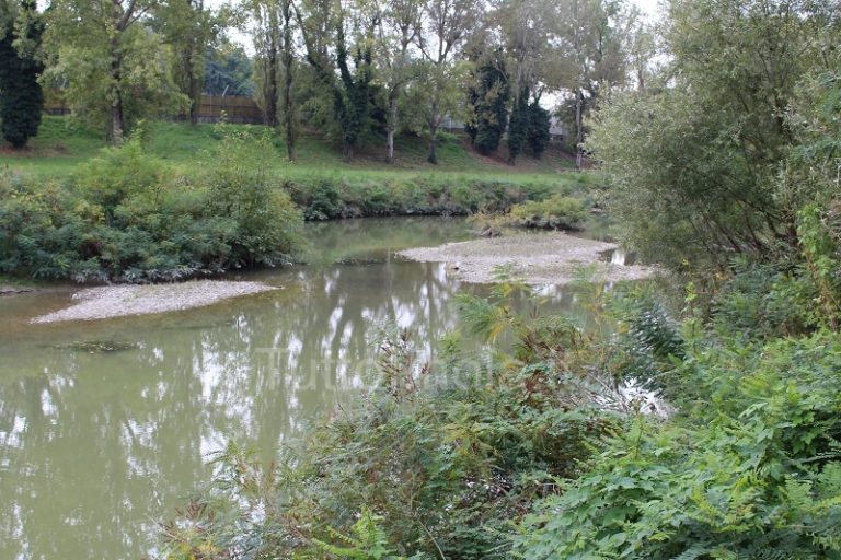 CONSULTA DELLE RAGAZZE E DEI RAGAZZI (IMOLA) “VIVA IL FIUME! PULIAMOLO INSIEME. PER VIVERE BENE PULIRE CONVIENE”