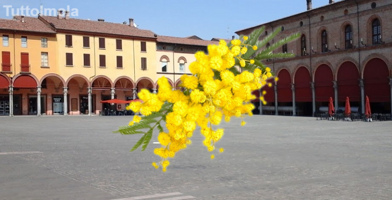 “8 MARZO”, MIMOSA IN PIAZZA E ARRAMPICATE ALL’EX CINEMA CENTRALE