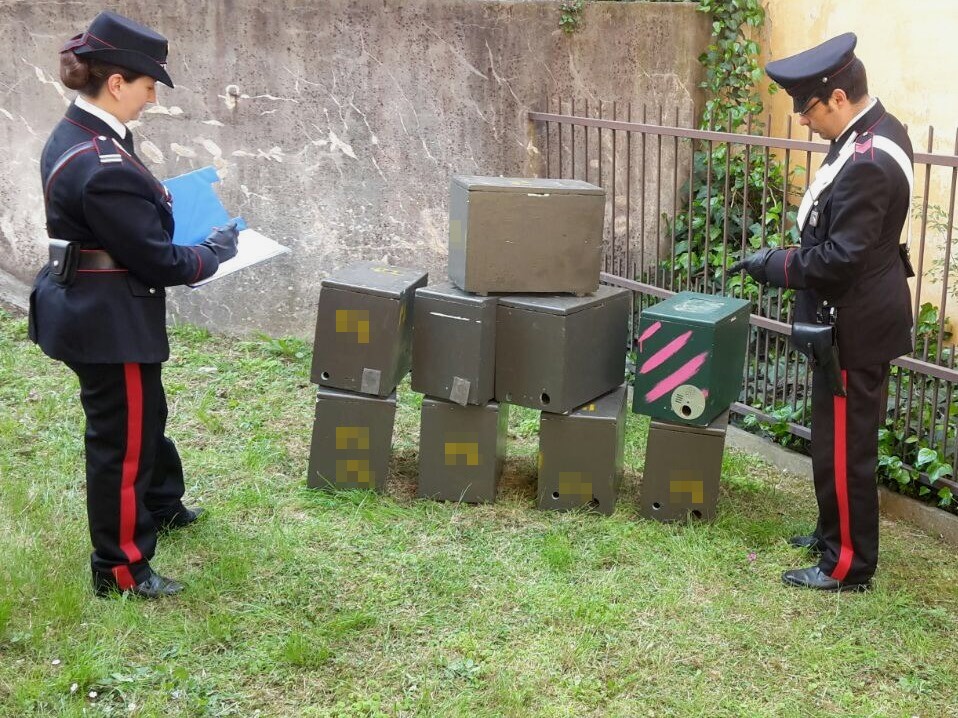 Casalfiumanese,  Furto di arnie: due persone denunciate dai Carabinieri.   