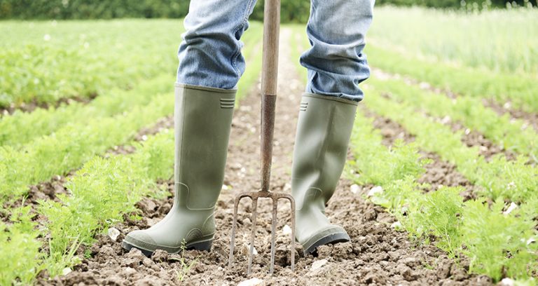 NUOVA APERTURA PER IL BANDO GIOVANI A DISPOSIZIONE DALLA REGIONE OLTRE 28 MILIONI DI EURO