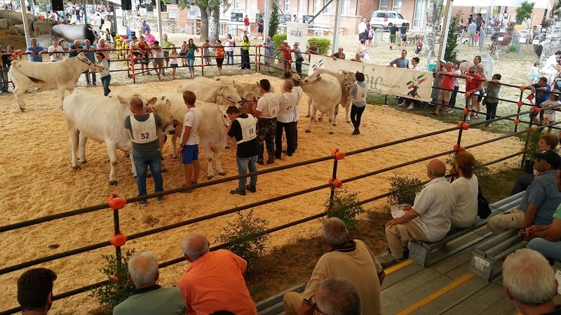 RAFFINI: “PIENO SUCCESSO  PER LA ‘FIERA AGRICOLA DEL SANTERNO’”