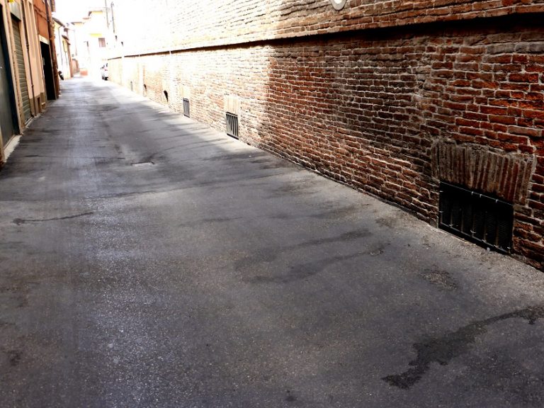 LETTERA DEI CITTADINI AL SINDACO “IMOLA VERSA IN UNA SITUAZIONE DI PRECARIETÀ, SOTTO IL PROFILO SANITARIO, DELL’ IGIENE E DEL DECORO”