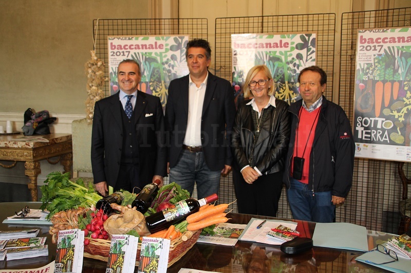 tuttoimola.it