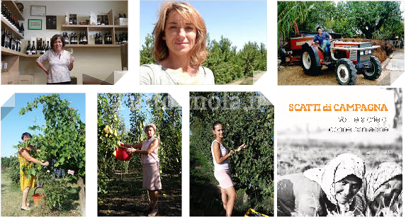 tuttoimola.it