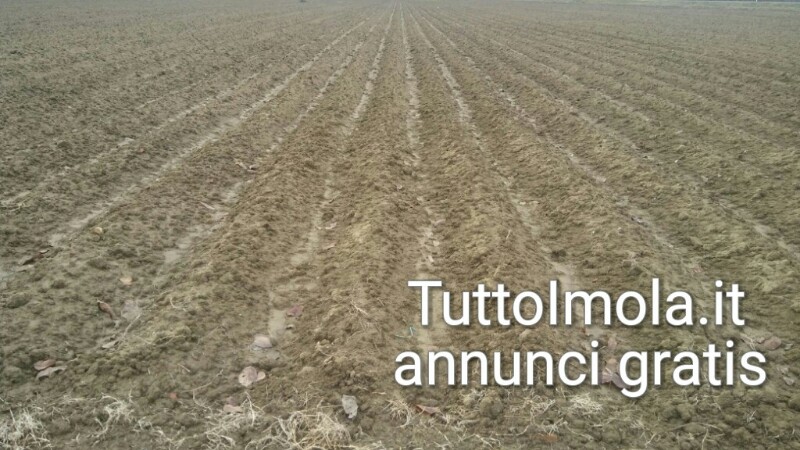 Terreni dello Stato in vendita per agevolare i giovani: all’asta 8mila ettari