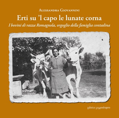 QUANDO IL BOVINO DI RAZZA ROMAGNOLA DIVENTA PROTAGONISTA