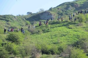 MERCOLEDÌ 28: TUTTI A PIANTARE ALBERI PER SALVARE LA MONTAGNA