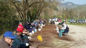 MERCOLEDÌ 28: TUTTI A PIANTARE ALBERI PER SALVARE LA MONTAGNA