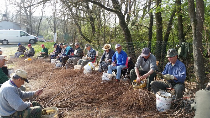 MERCOLEDÌ 28: TUTTI A PIANTARE ALBERI PER SALVARE LA MONTAGNA
