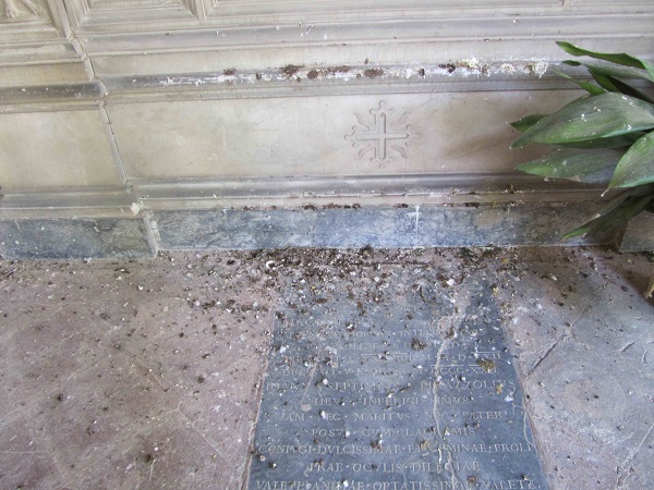 CIMITERO DEL PIRATELLO: IL CAMPOSANTO DEGLI IMOLESI NEL TOTALE ABBANDONO