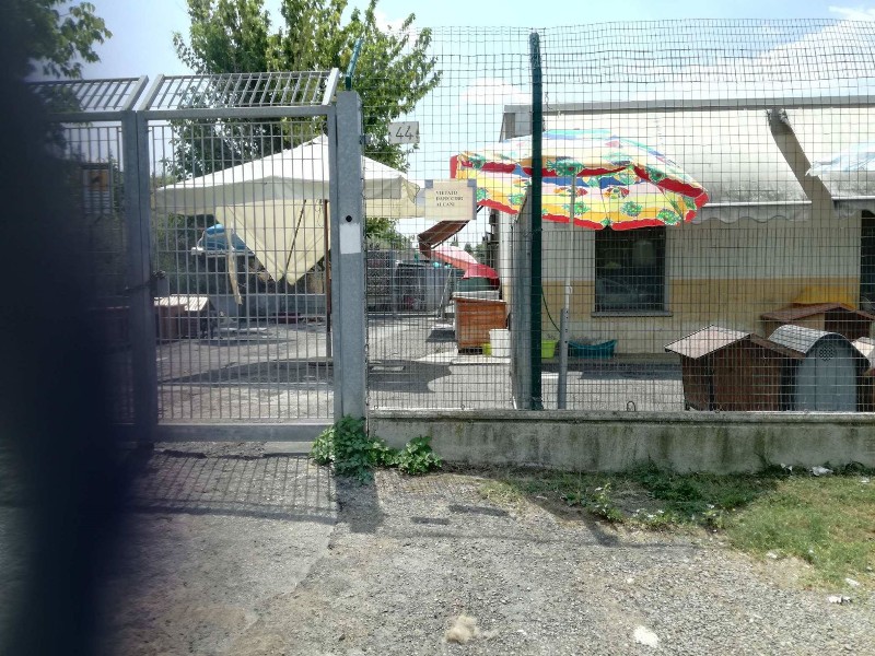 GATTILE-CANILE, TANTE PAROLE, 0 FATTI. QUI SI PERDE LA FACCIA