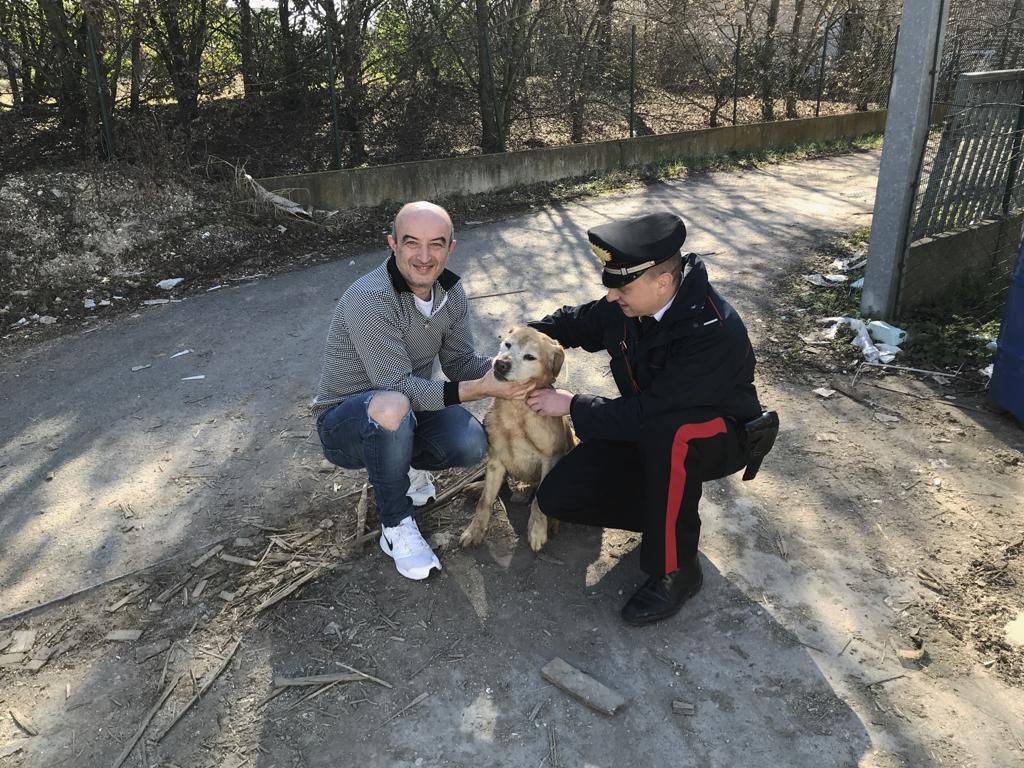 MORDANO TOMMY SCIVOLA IN UN FOSSATO E RISCHIAVA DI ANNEGARE. SALVATO DAI CARABINIERI DEL NORM DI IMOLA