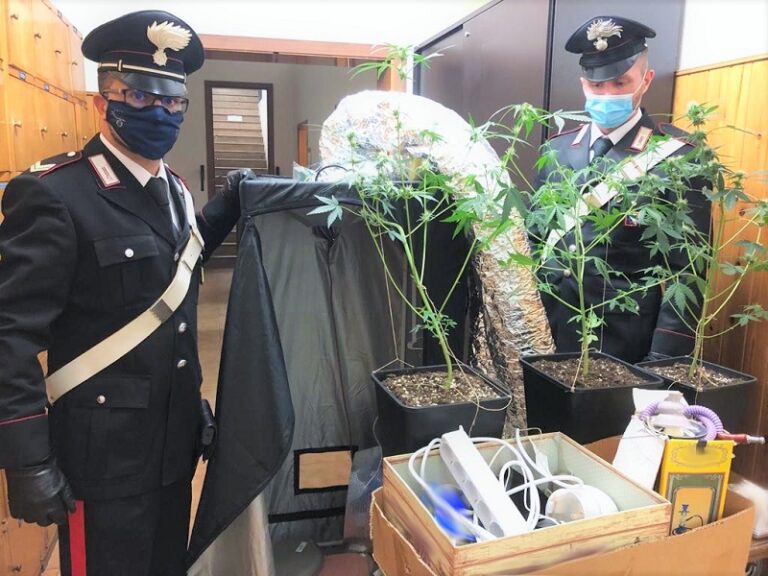 Medicina – Coppia di giovani arrestata per traffico di sostanze stupefacenti