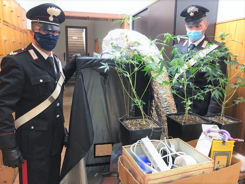 Medicina – Coppia di giovani arrestata per traffico di sostanze stupefacenti