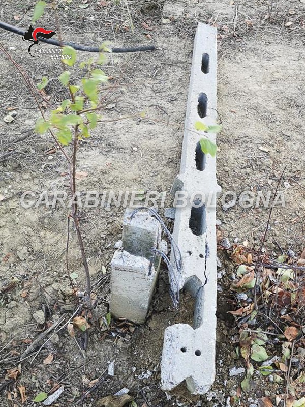 Casalfiumanese – Pensionato colpito alla testa da un palo di cemento
