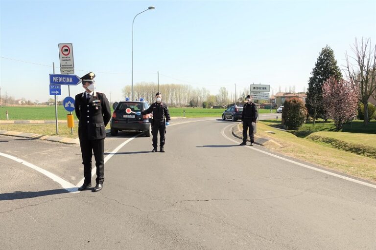 Medicina – Furto di canapa sativa, denunciati tre giovani