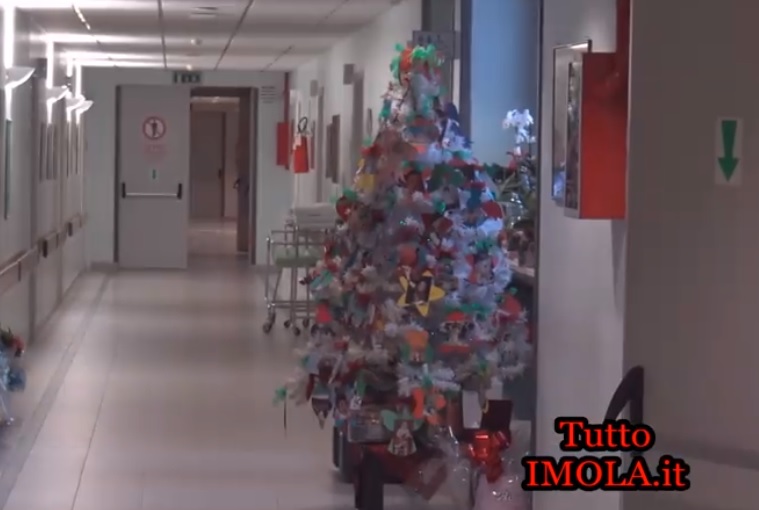IMOLA – NEL 2020 NATI 852.