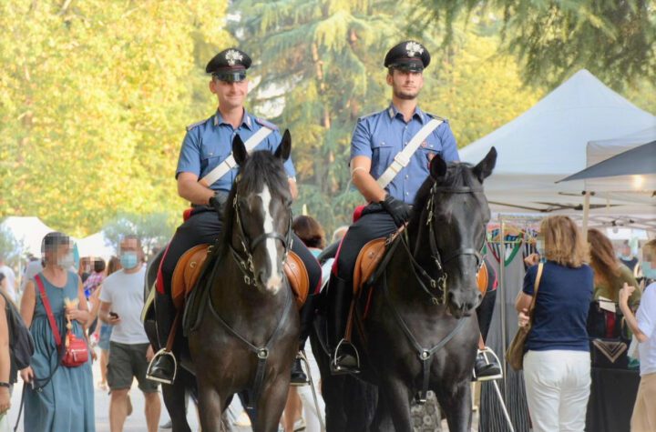 Mordano – Denunciato un titolare di un allevamento di cavalli per falsità ideologica in certificati