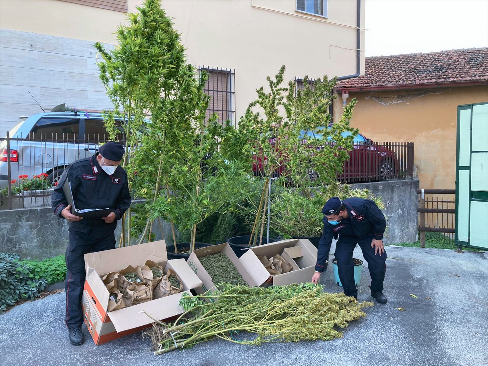Casalfiumanese – Arrestato un 34enne italiano per coltivazione di sostanze stupefacenti