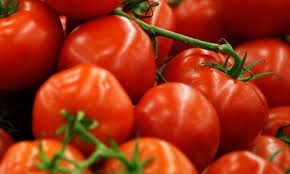 Pomodoro, i costi di produzione sono lievitati con rincari del 30%