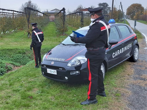Sesto Imolese – Si allontana da casa per raccogliere margherite, salvata dai carabinieri.
