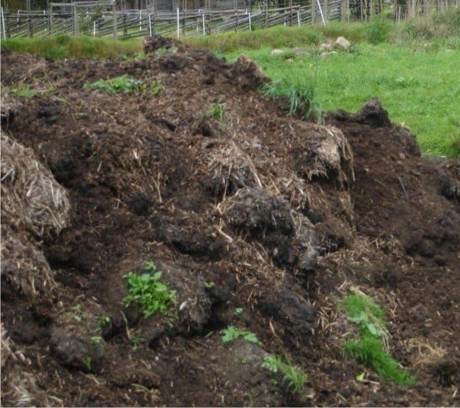 Manca il concime, non quello politico, ma per l’agricoltura.