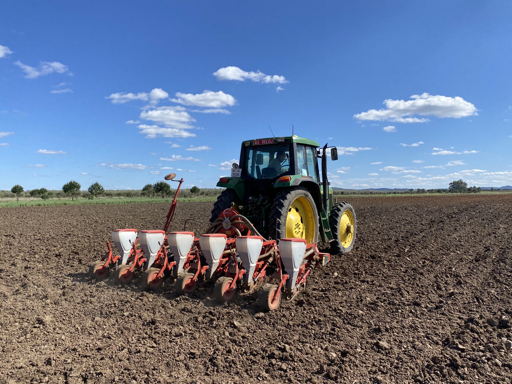 Emilia Romagna – Iniziata la corsa per seminare nuovi campi di girasole ad alto contenuto oleico, soia, sorgo e poco mais