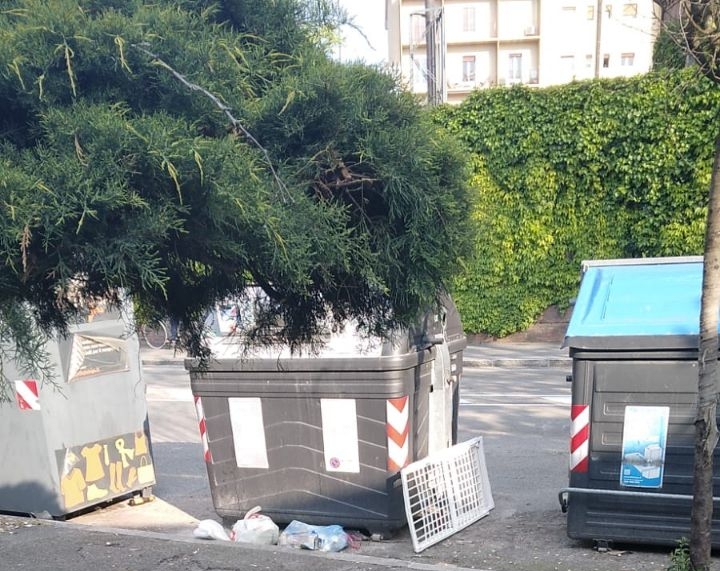 Imola – L’area circostante al viale Carducci è diventato il nuovo Bronx imolese.