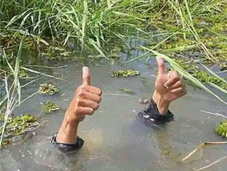 📢 Condividete la vostra storia di resilienza e solidarietà! TuttoImola.it vuole ascoltarvi e pubblicare le vostre storie.