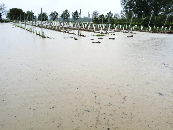Maltempo – CIA stima danni per centinaia di milioni di euro al territorio emiliano-romagnolo