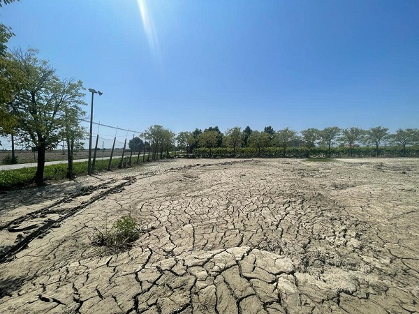I giochetti Dem – Il sindaco rosso di Imola scopre l’agricoltura dopo l’alluvione e chiede fondi sulla “fiducia”