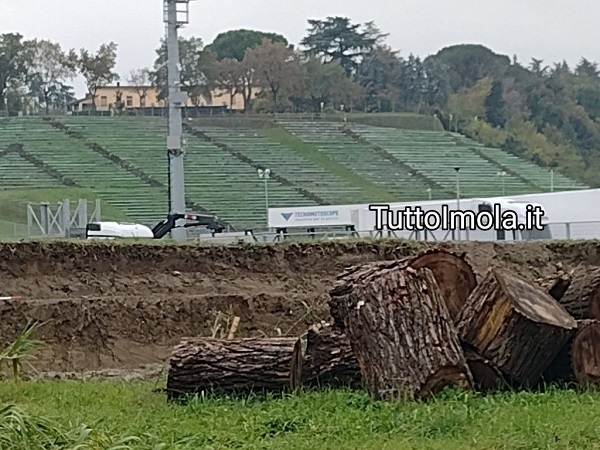 Imola nel verde della propaganda: Gli alberi di Spada sono solo fumo elettorale?