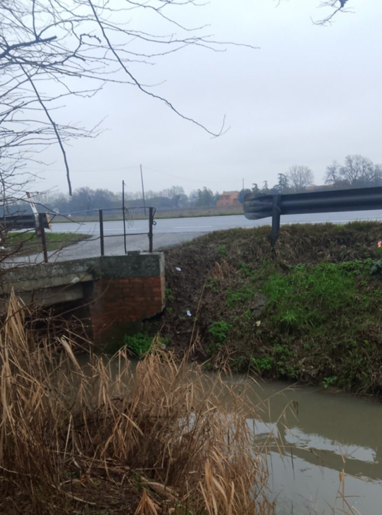 Via Provinciale Selice, residenti senza cassonetti: la segnalazione del segretario del Patto per il Nord