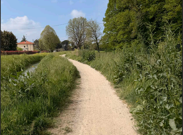 Ciclabile del Santerno nel degrado: “La vegetazione si mangia la strada”