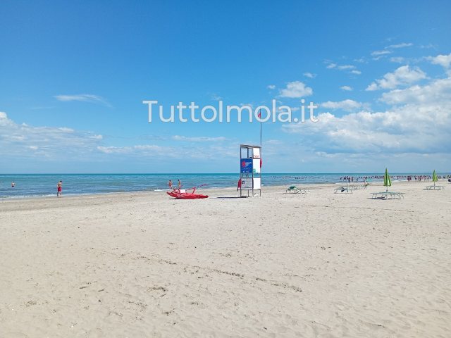 Vacanze al mare, i consigli degli esperti: sole, tuffi e meduse, come godersi l’estate in sicurezza