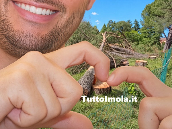Panieri e il “garante del verde”: dopo la strage degli alberi in nidificazione, arriva la presa in giro di Ferragosto