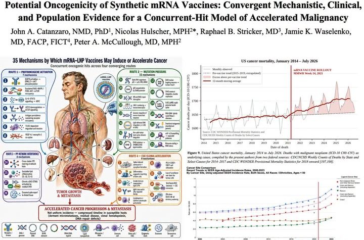 Epidemiologo Nicolas Hulscher: un nuovo studio mostra che i vaccini a mRNA potrebbero CAUSARE o ACCELERARE IL CANCRO attraverso 35 meccanismi distinti.